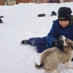 Первые шаги в слот-игре The Dog House Megaways для новичков