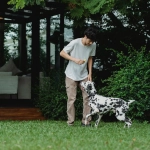 Анализ ошибок новичков в слот-игре The Dog House