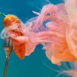 Анализ слота Chilli Heat Megaways для новичков