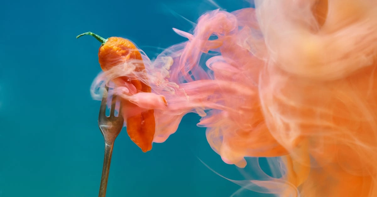 Анализ слота Chilli Heat Megaways для новичков